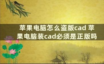 苹果电脑怎么盗版cad 苹果电脑装cad必须是正版吗